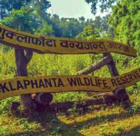 शुक्लाफाँटा राष्ट्रिय निकुञ्जमा बाघ गणनाको तयारी