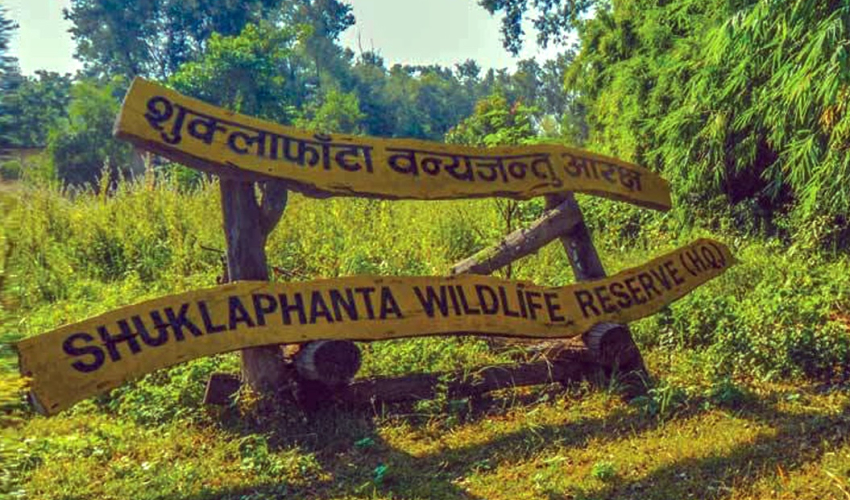 शुक्लाफाँटा राष्ट्रिय निकुञ्जमा बाघ गणनाको तयारी