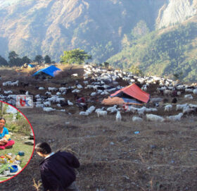 भोटे जनजातिका धेरै बासिन्दा मतदानबाट वञ्चित