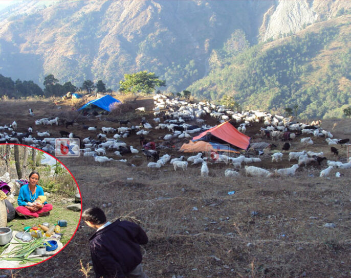 भोटे जनजातिका धेरै बासिन्दा मतदानबाट वञ्चित