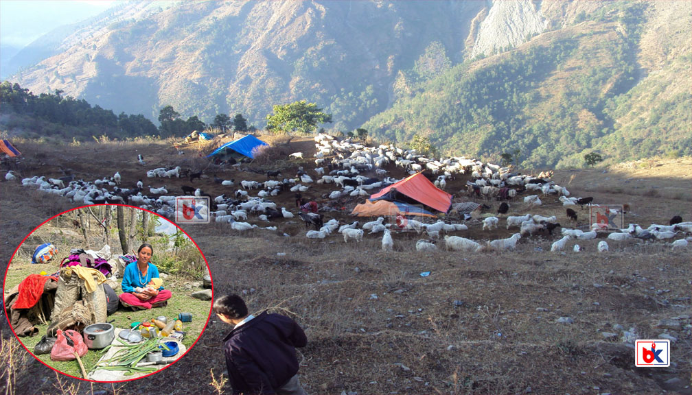 भोटे जनजातिका धेरै बासिन्दा मतदानबाट वञ्चित