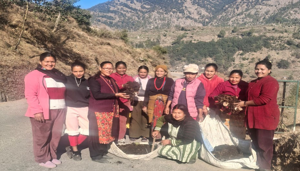 सामुदायिक सुरक्षा जालोद्धारा मार्तडी बजार छेउछाउका बोट बिरुवामा मल तथा गोडमेल