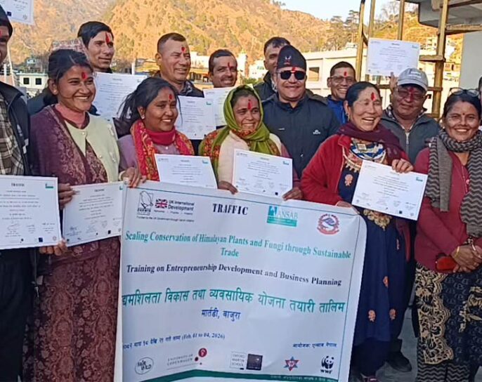 हिमाली जडिबुटीमा आधारित ४ दिने उद्यम विकास तालिम सम्पन्न