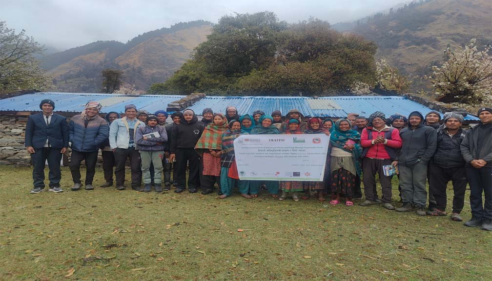 हिमाली गाउँपालिकाकाे  गुम्बामा जडीबुटीजन्य प्रमाणीकरण सम्बन्धी कार्यक्रम सम्पन्न