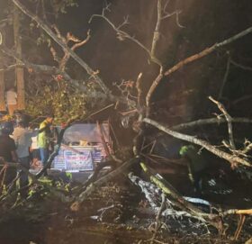 पछिल्लो २४ घण्टामा विपद्का घटनाबाट ४ जनाको मृत्यु, १४ घाइते