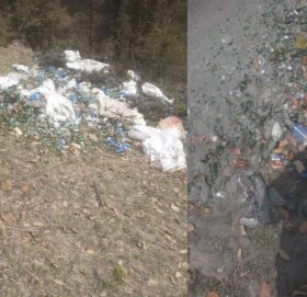 पाेरखे लेककाे हरीयाली जंगलकाे बिचमा फोहोरको पहाड