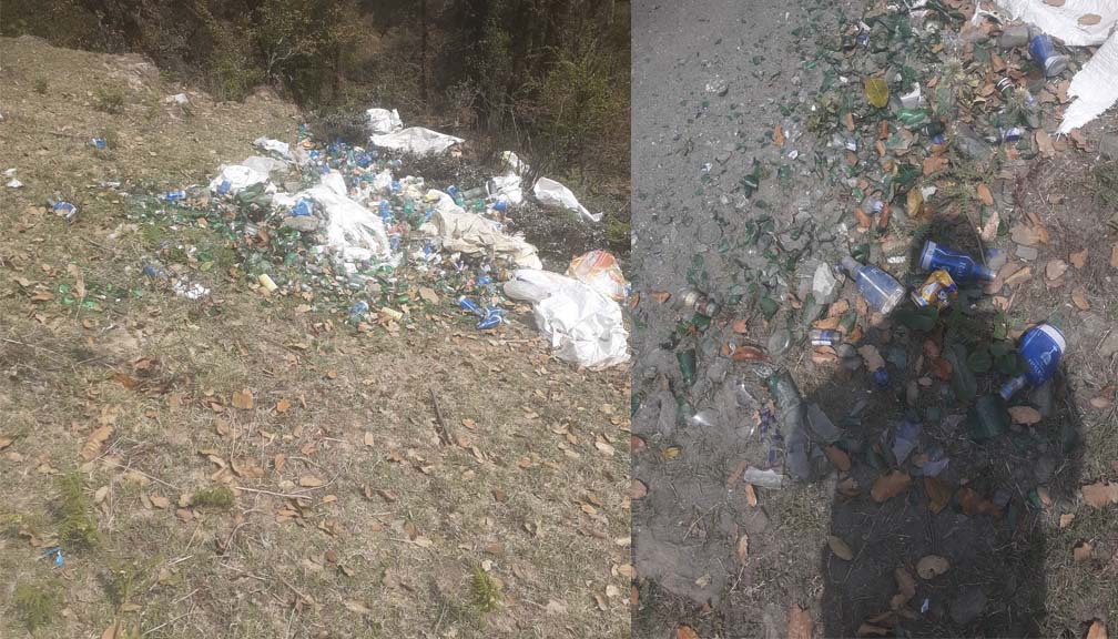 पाेरखे लेककाे हरीयाली जंगलकाे बिचमा फोहोरको पहाड