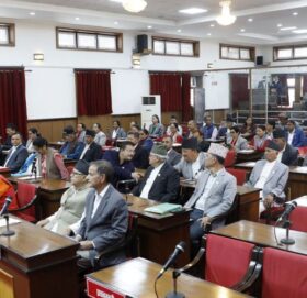 राष्ट्रिय सभा उपाध्यक्षको निर्वाचन चैत २३ गते