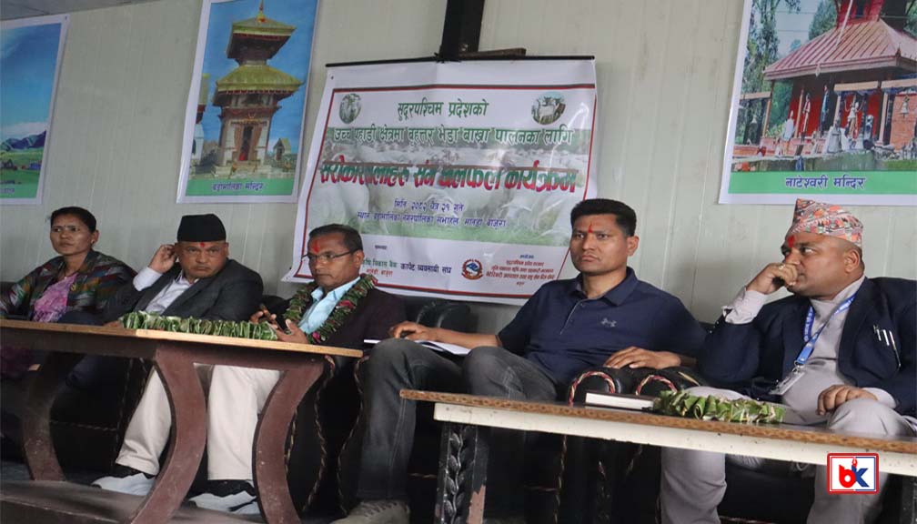 सुदूरपश्चिम सरकारले बाजुरामा बृहत्तर भेडा बाख्रा पालन कार्यक्रम गर्ने