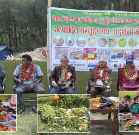 बुढीगंगा नगरपालिकाद्धारा कृषि मेला प्रदर्शनी