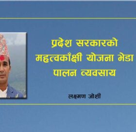 प्रदेश सरकारको महत्वकाँक्षी योजना भेडा पालन व्यवसाय