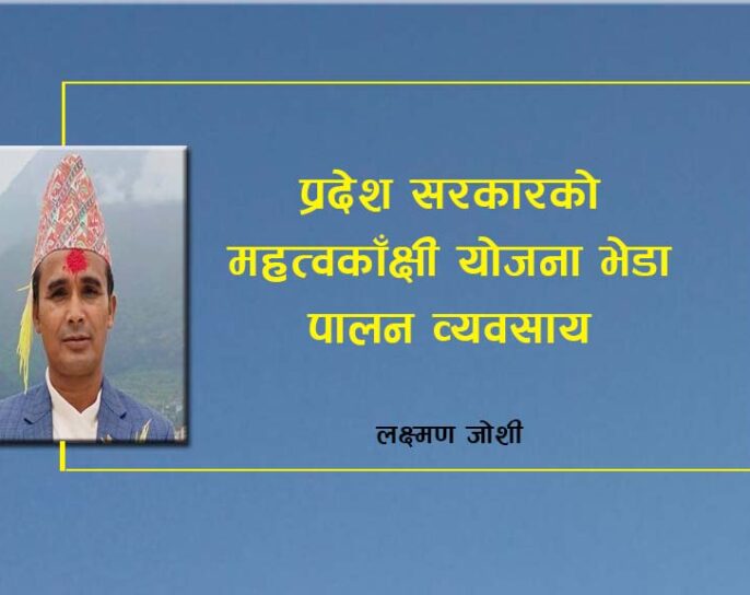 प्रदेश सरकारको महत्वकाँक्षी योजना भेडा पालन व्यवसाय