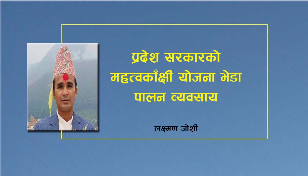 प्रदेश सरकारको महत्वकाँक्षी योजना भेडा पालन व्यवसाय