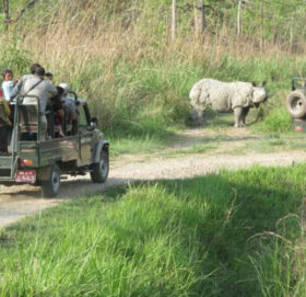 बर्खायाम सुरु भएसँगै शुक्लाफाँटा राष्ट्रिय निकुञ्जमा जंगल सफारी बन्द