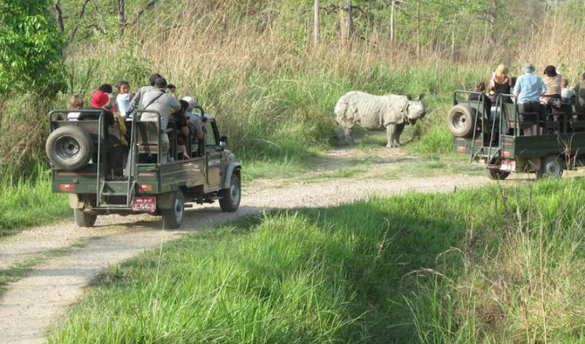 बर्खायाम सुरु भएसँगै शुक्लाफाँटा राष्ट्रिय निकुञ्जमा जंगल सफारी बन्द